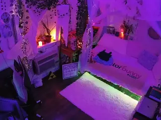 voyeurcam veccasalt 01's Live Sex Cam Show