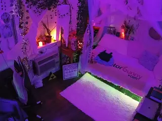 voyeurcam veccasalt 01's Live Sex Cam Show