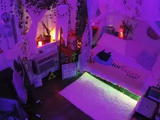 voyeurcam veccasalt 01's Live Sex Cam Show