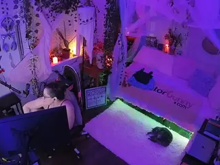 voyeurcam veccasalt 01's Live Sex Cam Show