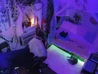 voyeurcam veccasalt 01's Live Sex Cam Show
