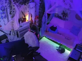 voyeurcam veccasalt 01's Live Sex Cam Show