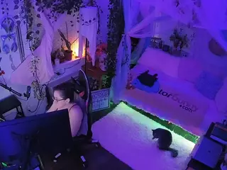 voyeurcam veccasalt 01's Live Sex Cam Show