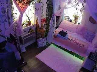 voyeurcam veccasalt 01's Live Sex Cam Show
