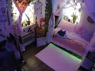 voyeurcam veccasalt 01's Live Sex Cam Show