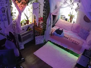 voyeurcam veccasalt 01's Live Sex Cam Show