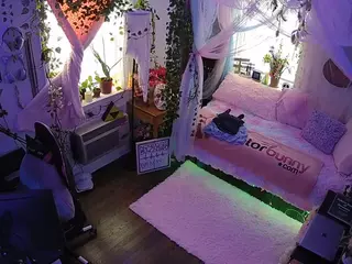 voyeurcam veccasalt 01's Live Sex Cam Show
