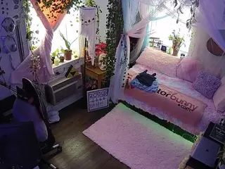 voyeurcam veccasalt 01's Live Sex Cam Show
