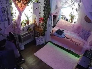 voyeurcam veccasalt 01's Live Sex Cam Show