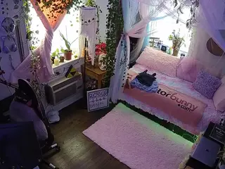 voyeurcam veccasalt 01's Live Sex Cam Show