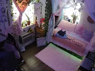 voyeurcam veccasalt 01's Live Sex Cam Show