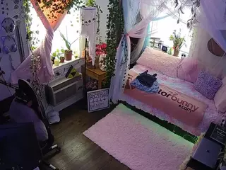 voyeurcam veccasalt 01's Live Sex Cam Show