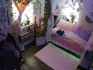 voyeurcam veccasalt 01's Live Sex Cam Show