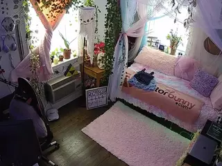 voyeurcam veccasalt 01's Live Sex Cam Show
