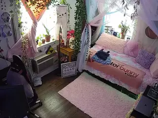 voyeurcam veccasalt 01's Live Sex Cam Show