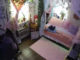 voyeurcam veccasalt 01's Live Sex Cam Show