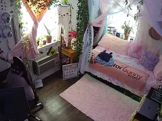 voyeurcam veccasalt 01's Live Sex Cam Show