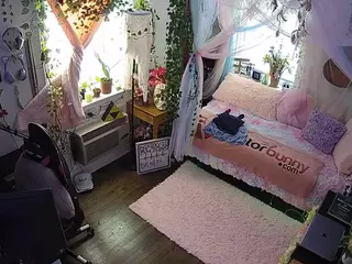 voyeurcam veccasalt 01's Live Sex Cam Show