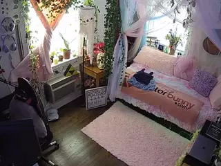 voyeurcam veccasalt 01's Live Sex Cam Show