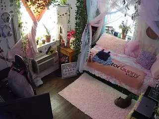 voyeurcam veccasalt 01's Live Sex Cam Show