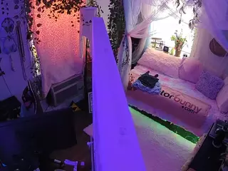 voyeurcam veccasalt 01's Live Sex Cam Show