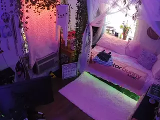 voyeurcam veccasalt 01's Live Sex Cam Show
