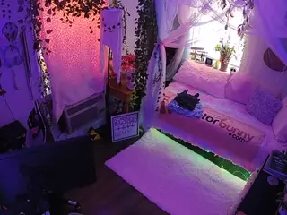 voyeurcam veccasalt 01's Live Sex Cam Show