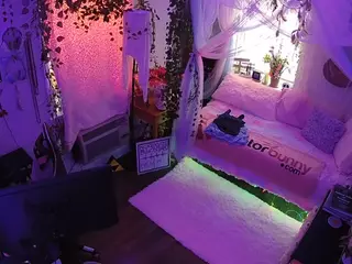 voyeurcam veccasalt 01's Live Sex Cam Show