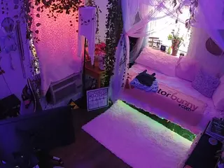 voyeurcam veccasalt 01's Live Sex Cam Show
