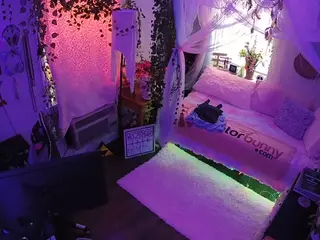 voyeurcam veccasalt 01's Live Sex Cam Show