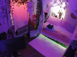 voyeurcam veccasalt 01's Live Sex Cam Show