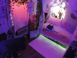 voyeurcam veccasalt 01's Live Sex Cam Show