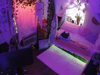 voyeurcam veccasalt 01's Live Sex Cam Show