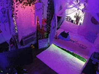 voyeurcam veccasalt 01's Live Sex Cam Show