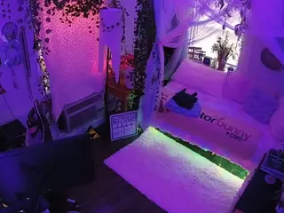 voyeurcam veccasalt 01's Live Sex Cam Show