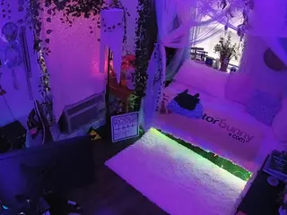 voyeurcam veccasalt 01's Live Sex Cam Show