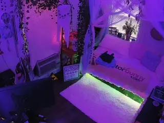 voyeurcam veccasalt 01's Live Sex Cam Show