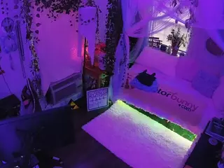 voyeurcam veccasalt 01's Live Sex Cam Show