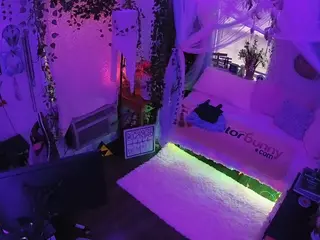 voyeurcam veccasalt 01's Live Sex Cam Show