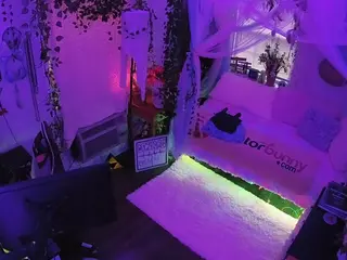 voyeurcam veccasalt 01's Live Sex Cam Show