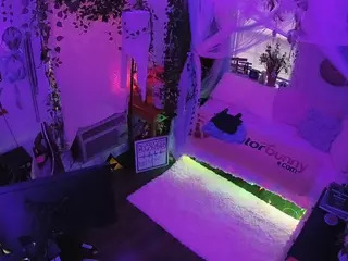 voyeurcam veccasalt 01's Live Sex Cam Show