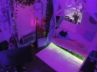 voyeurcam veccasalt 01's Live Sex Cam Show