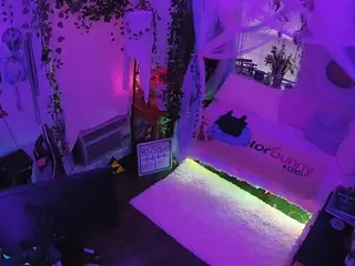 voyeurcam veccasalt 01's Live Sex Cam Show