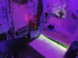 voyeurcam veccasalt 01's Live Sex Cam Show