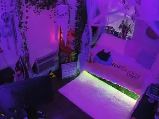 voyeurcam veccasalt 01's Live Sex Cam Show