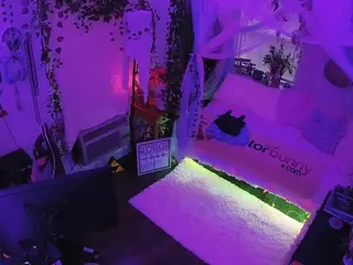 voyeurcam veccasalt 01's Live Sex Cam Show