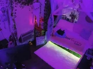 voyeurcam veccasalt 01's Live Sex Cam Show