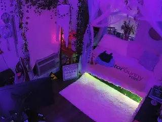 voyeurcam veccasalt 01's Live Sex Cam Show