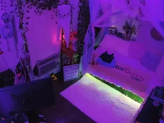 voyeurcam veccasalt 01's Live Sex Cam Show