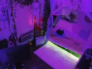 voyeurcam veccasalt 01's Live Sex Cam Show